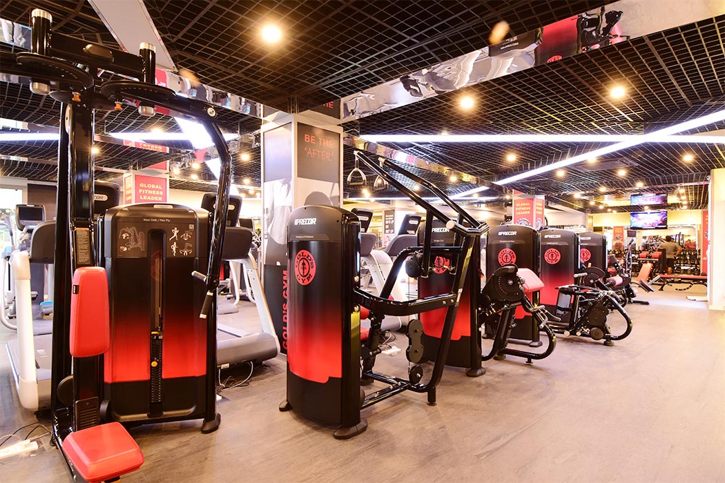 Golds Gym Model Colony Gym Equipment Fitness Equipment Get Home Gym Equipment Gym